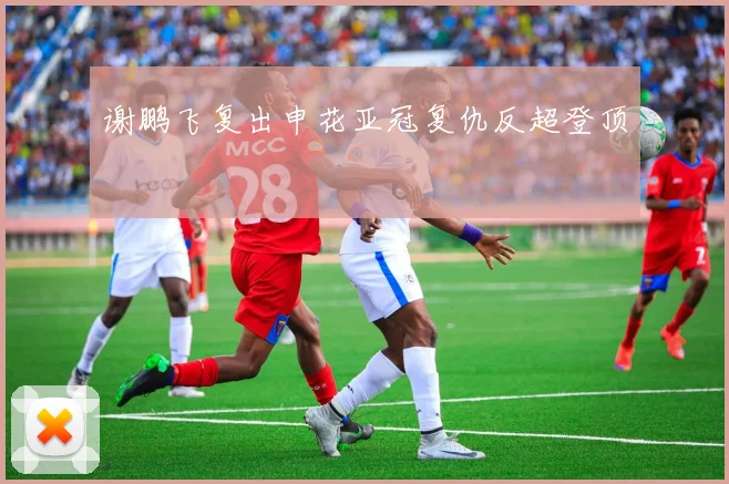谢鹏飞复出申花亚冠复仇反超登顶
