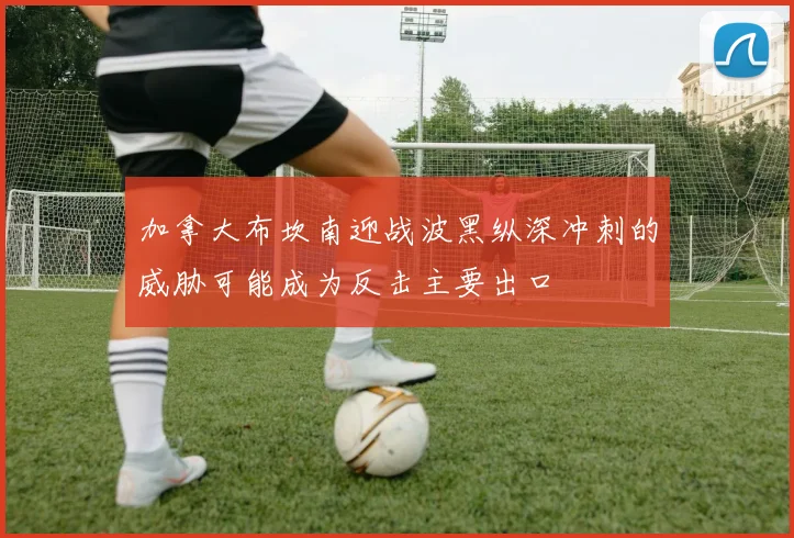加拿大布坎南迎战波黑纵深冲刺的威胁可能成为反击主要出口