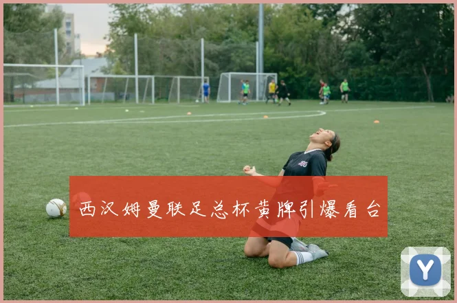 西汉姆曼联足总杯黄牌引爆看台