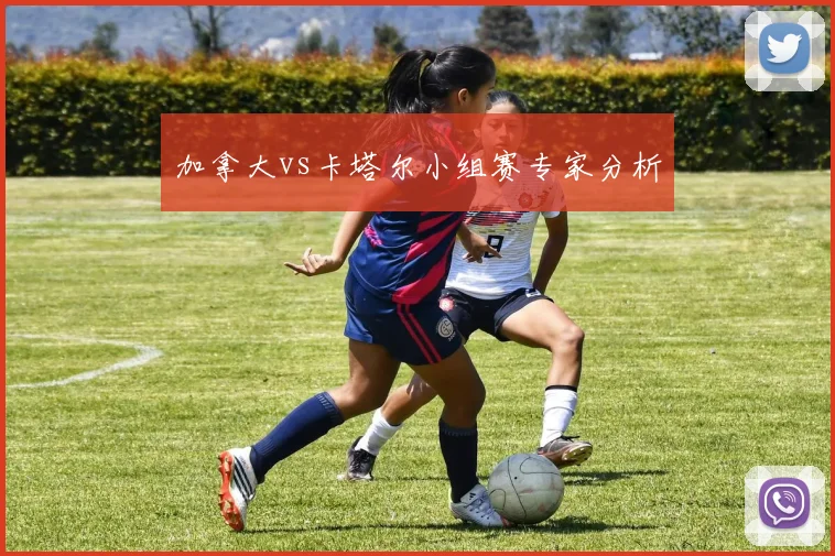 加拿大vs卡塔尔小组赛专家分析