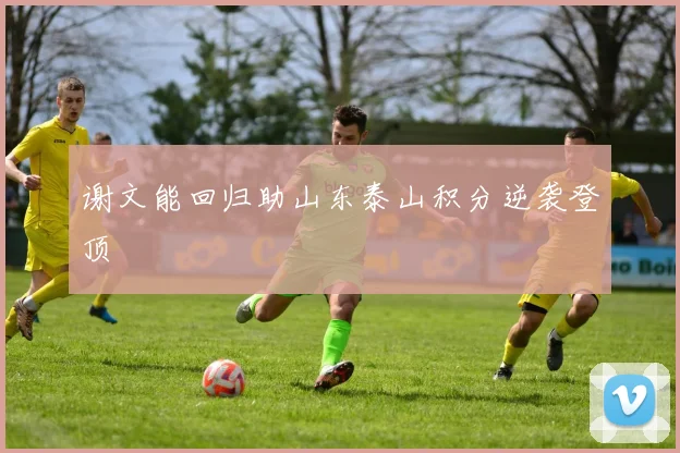 谢文能回归助山东泰山积分逆袭登顶