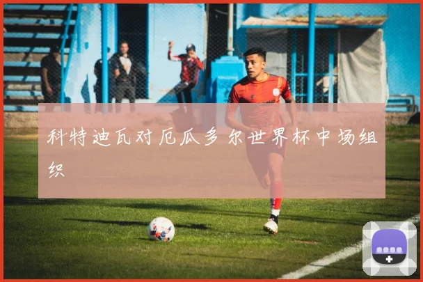 科特迪瓦对厄瓜多尔世界杯中场组织